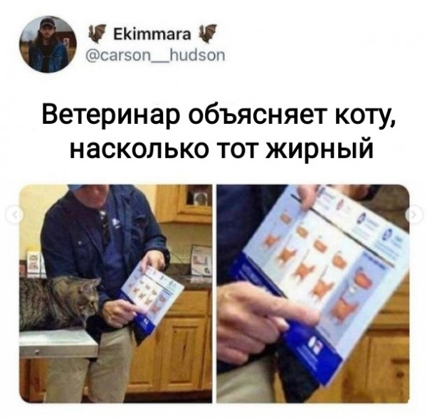 Картинки и мемы для настроения 18.10.2021