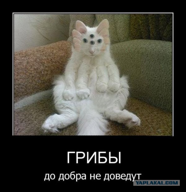 Второй день в Амстердаме