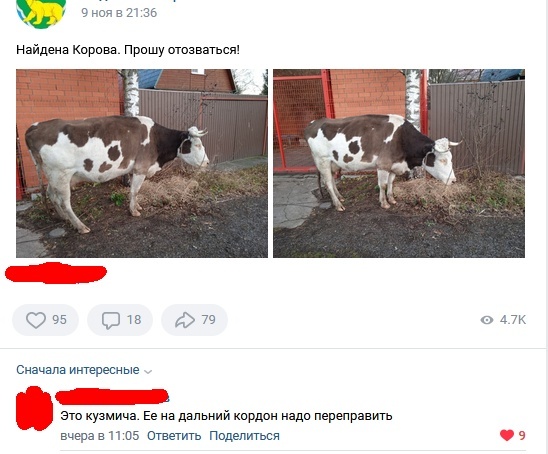Так себе картинки 12.11.21