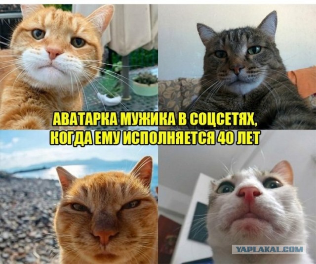 Картинки и мемы для настроения 16.11.2021
