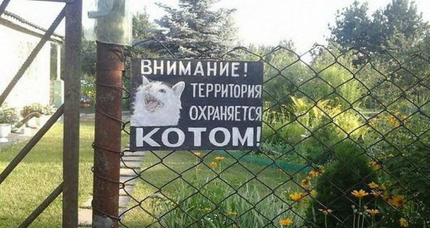 Картинки из прошлого 2.0