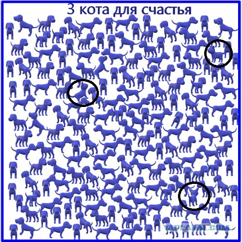 Пусть глазки отдохнут