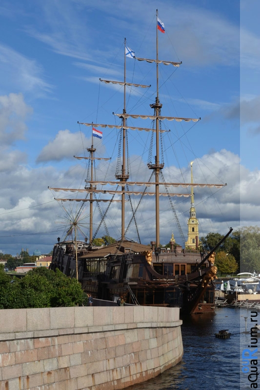 СПб глазами уставшего туриста...