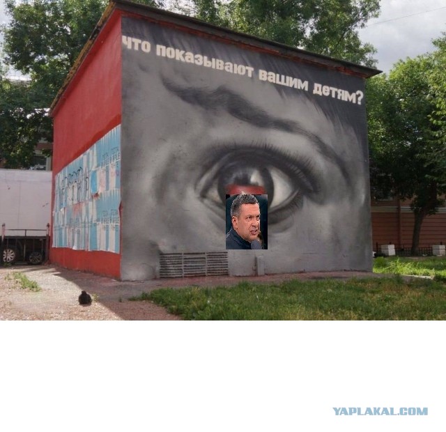 Тем временем в Питере