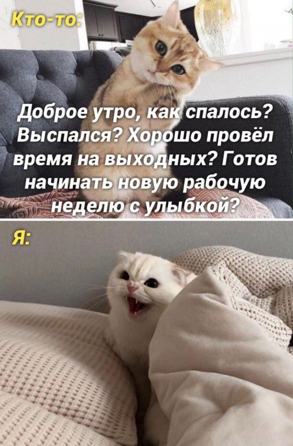Немного картинок для настроения - 114