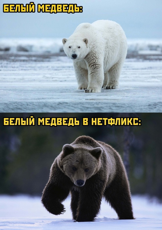 Картинки и мемы для настроения - 21
