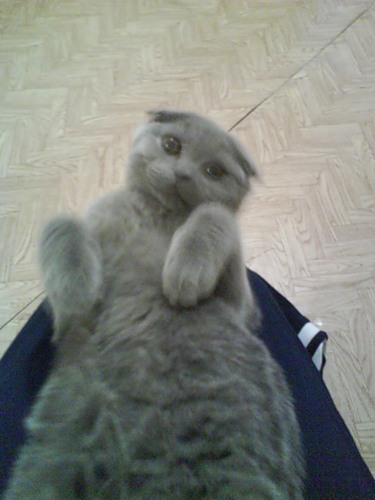 Глоссариум и Путеводитель по мирам