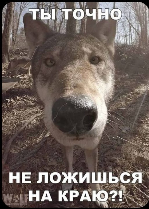 Победная поступь идиотизма по планете – том 2