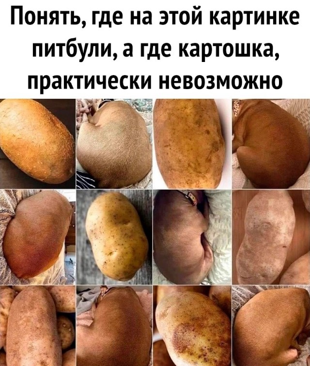 Немного картинок для настроения - 177