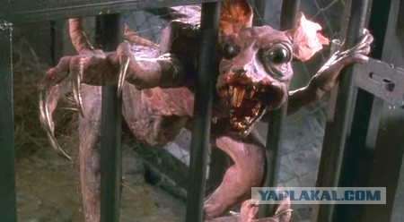 Ну что, кто доехал таки до упоротого лиса? :)