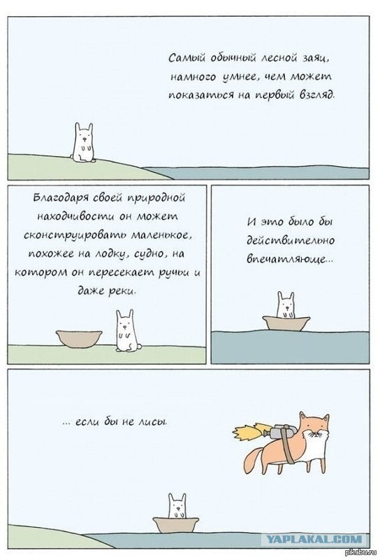 Сорока слеток, крыло сломано
