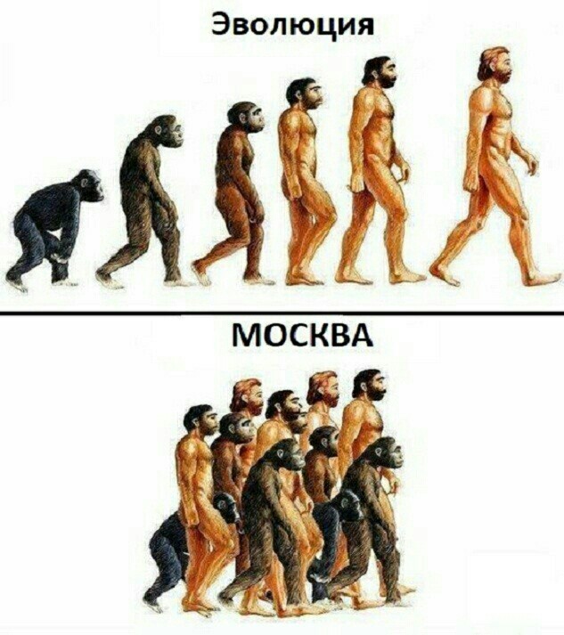 В московском Дикси замечена кассир в парандже
