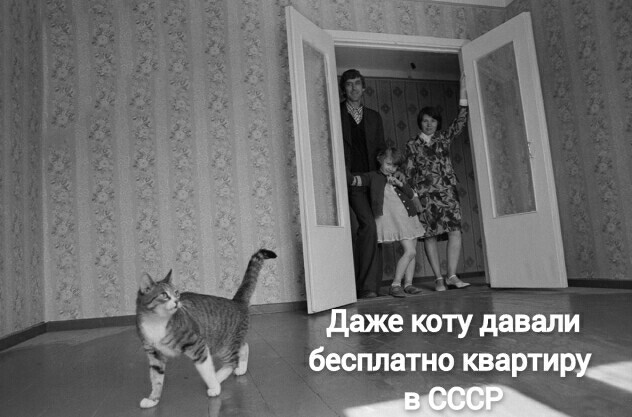 40 фото, которые могут поменять ваше мнение об истории