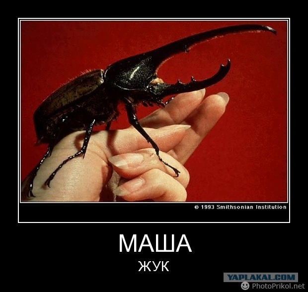 Ну, вот и поговорили...