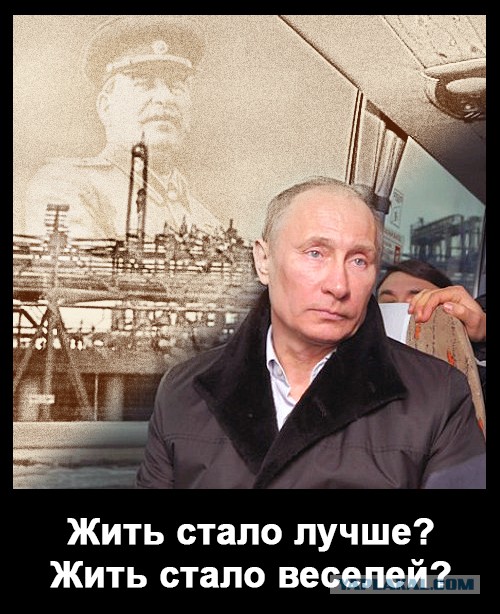 Грустный какойто, на лиса  похож