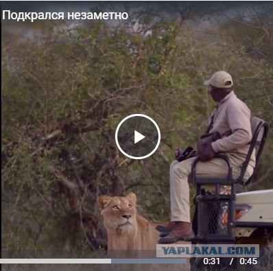 Подкрался незаметно