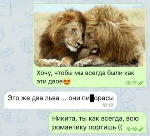 Никакие картинки
