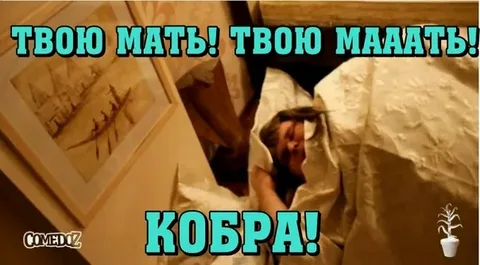 Как я кормлю приплод