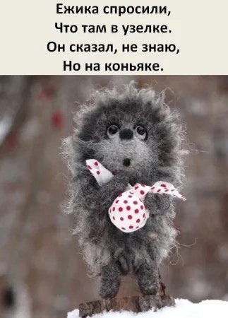 Нуштош 04.10.2024