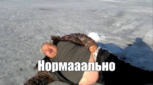 Вот так происходит драка тюленей