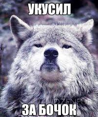 Придёт серенький волчок