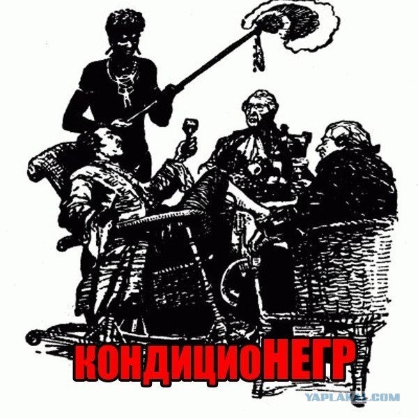 Илон Маск не расист