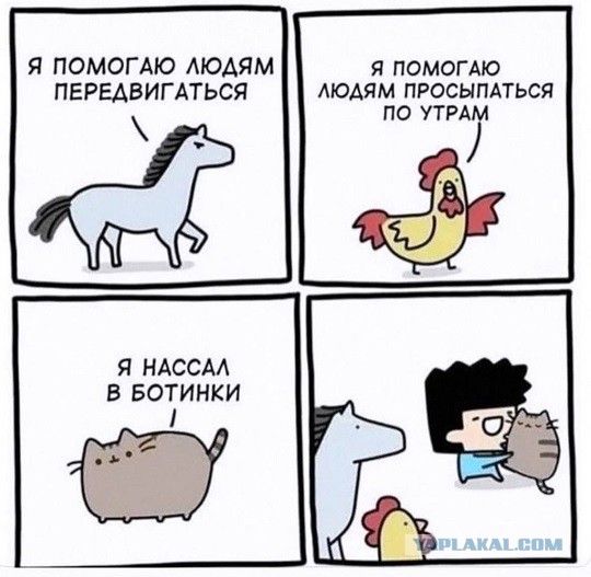 Ну, разбавим вторник позитивом!