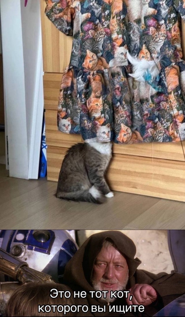 Так себе картинки 06.07.25