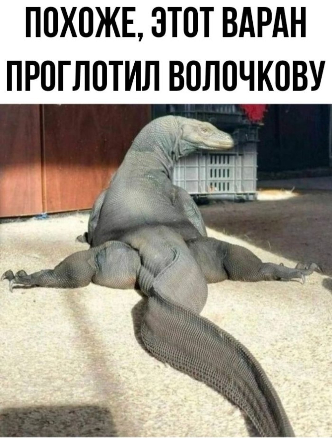20232173.jpg
