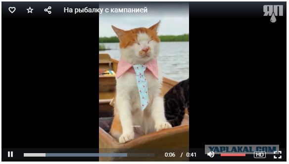 На рыбалку с компанией