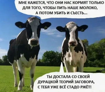 Так себе картинки 06.12.25