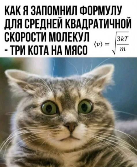 Среды картинки
