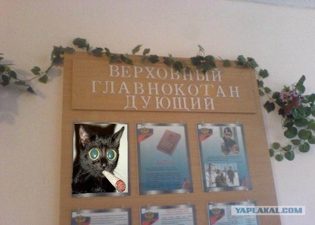 Главнокоман Дующий!