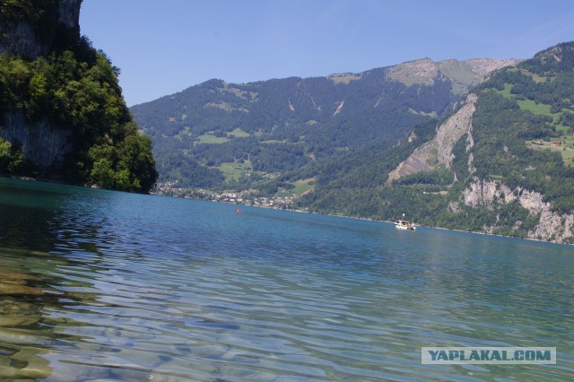 В поисках музея ПрофессораПлейшнера