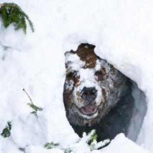 Не воюй с русскими никогда!