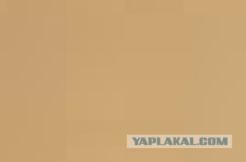 Дальтонизм - нарушенное цветовосприятие