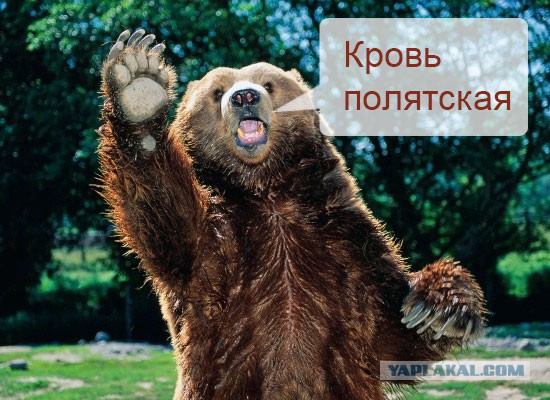 Польки за сценой евровидения