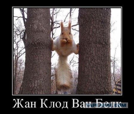 Позитивные картинки