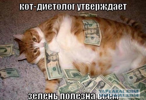 Добряки, плюсующие всех подряд