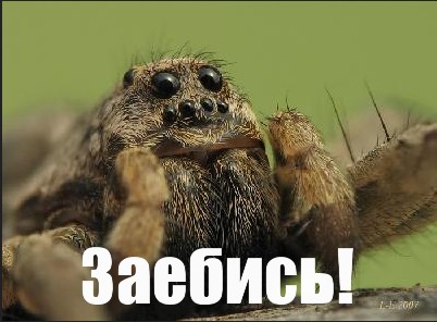 10 мониторное рукожопство