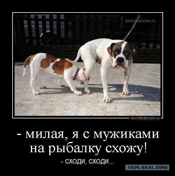 Демотиваторов пост, добавляйте свои