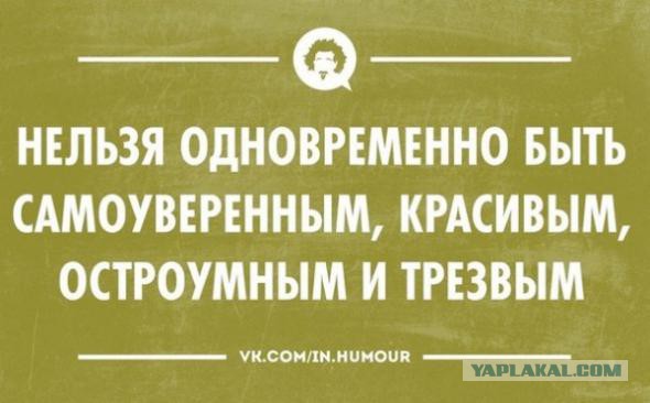 Подборка веселых картинок