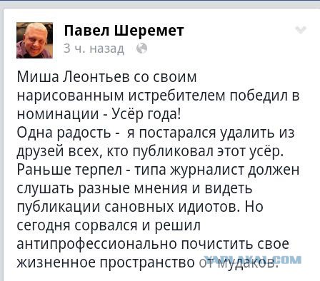 Михаил Леонтьев о спутниковом снимке