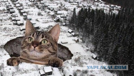 Адская воронка