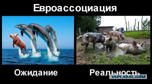 Украина - год без Януковича.