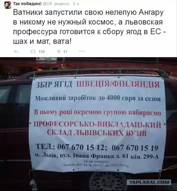 Смешные комментарии из социальных сетей