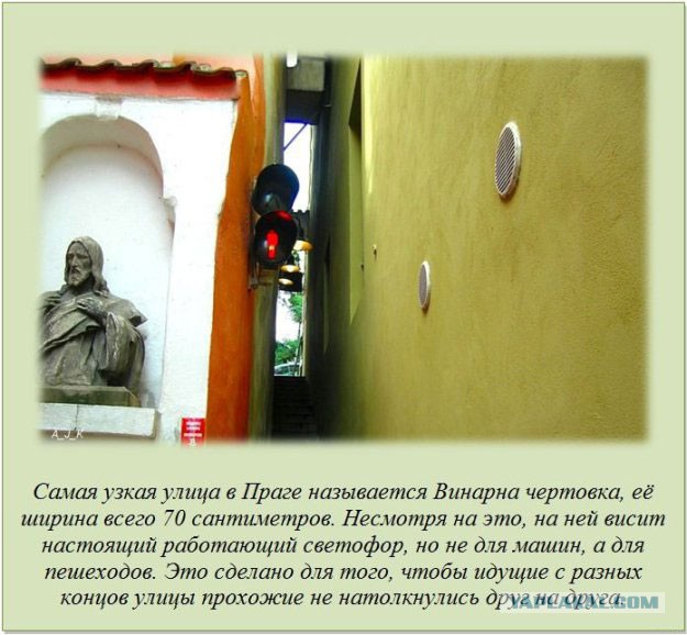 20 фактов обо всем