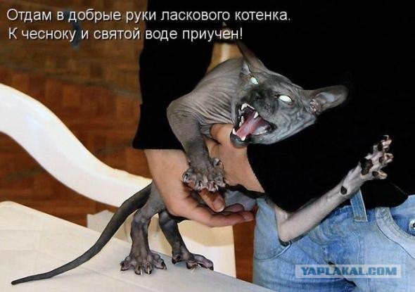 Нас не напугаешь