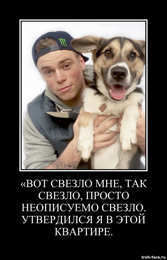 Мишка спустя год после Олимпиады