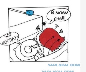 Спим мы с женой...
